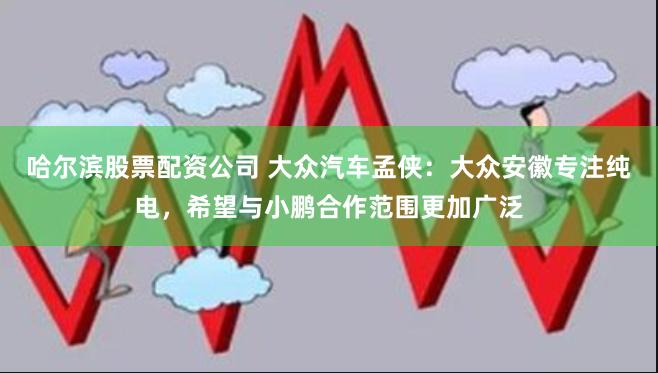 哈尔滨股票配资公司 大众汽车孟侠：大众安徽专注纯电，希望与小鹏合作范围更加广泛