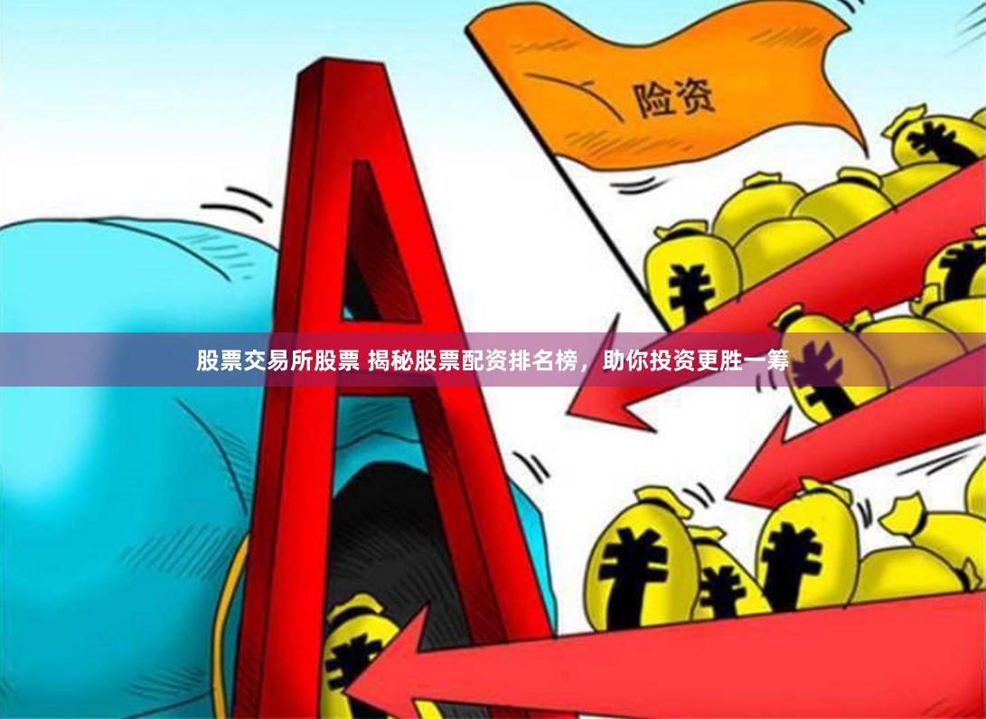 股票交易所股票 揭秘股票配资排名榜，助你投资更胜一筹