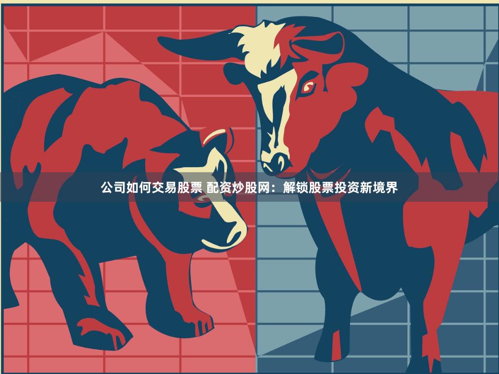 公司如何交易股票 配资炒股网：解锁股票投资新境界