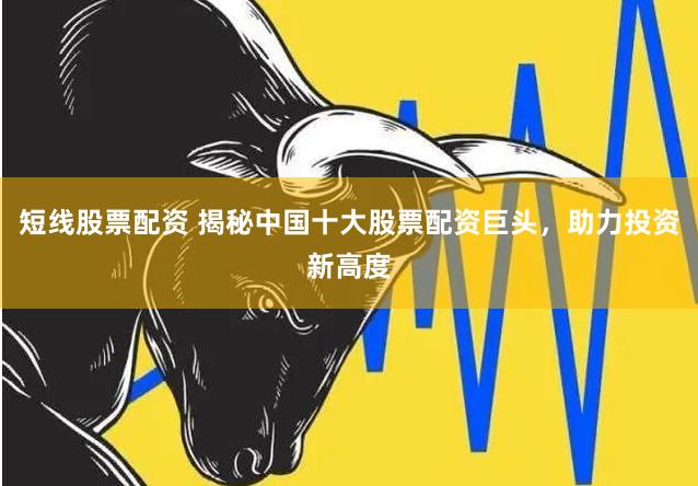 短线股票配资 揭秘中国十大股票配资巨头，助力投资新高度