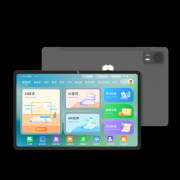 能为孩子量身定制进修打算 